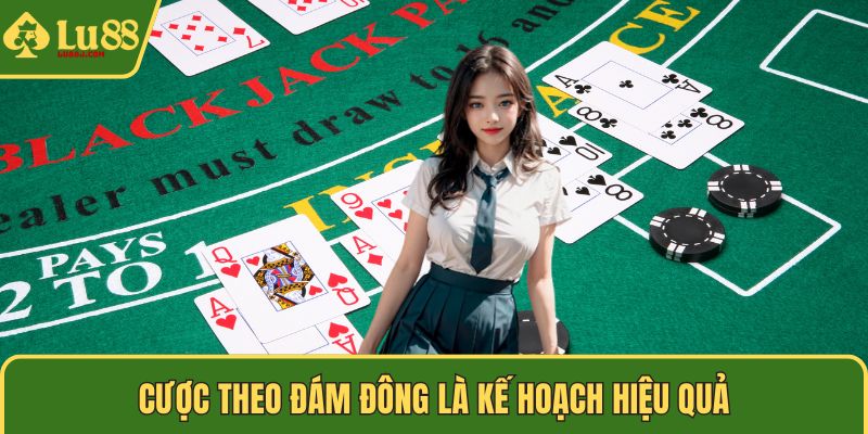 Cược theo đám đông là kế hoạch hiệu quả