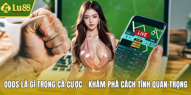 Odds là gì trong cá cược